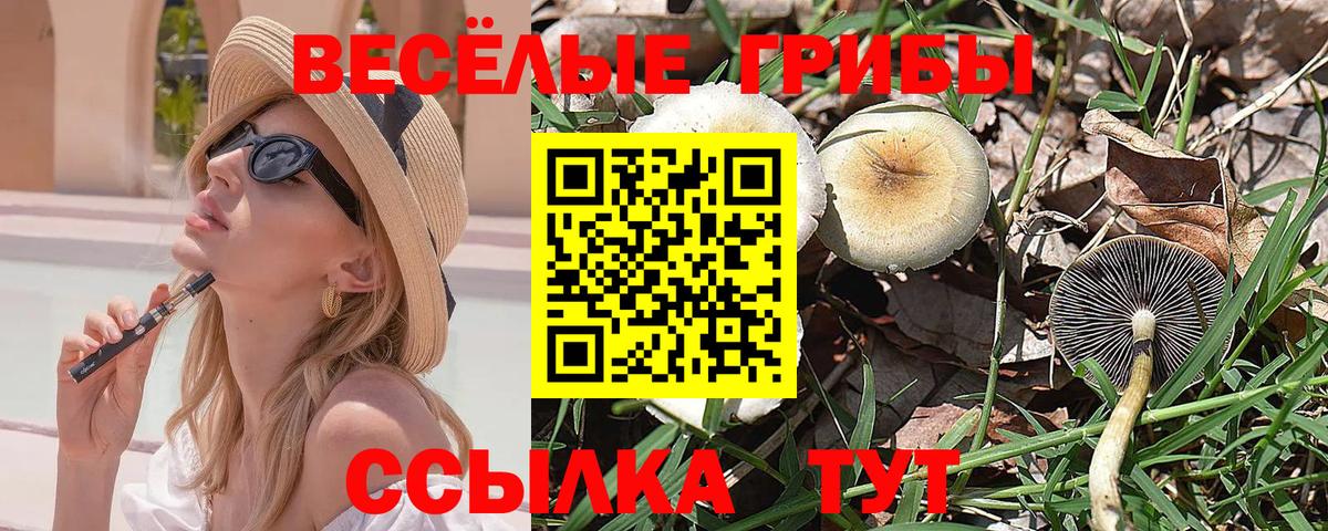 Псилоцибиновые грибы мицелий  где найти наркотики  Вход с VPN  Абакан  Псилоцибиновые грибы ЛСД 